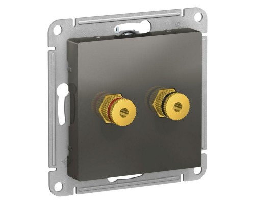 Аудиорозетка 2-м ATLAS DESIGN сталь SchE ATN000987
