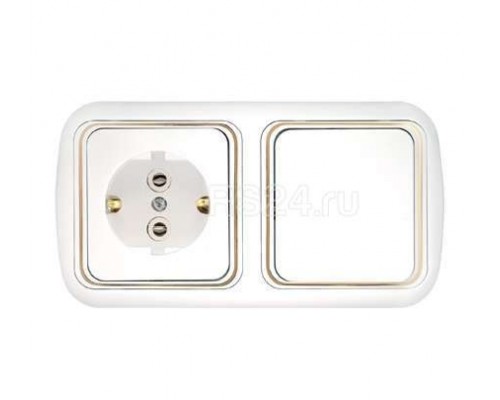 Блок СП (1-кл. выкл.+ роз.с заземл.) бел. БЕЛТИЗ В-РЦ-495