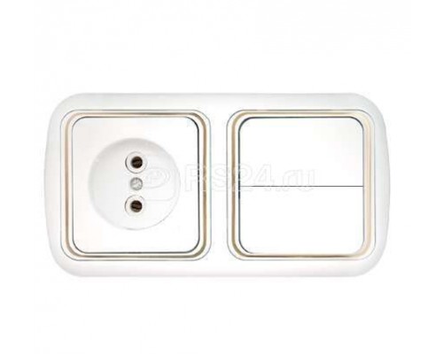 Блок СП (2-кл. выкл.+ роз.без заземл.) бел. БЕЛТИЗ 2В-РЦ-535