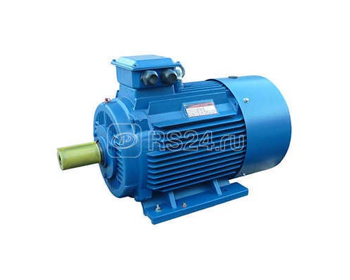 Электродвигатель 5АИ 180 S4 22/1500 IM1001 Элком 01.01.213695
