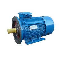 Электродвигатель 5АИ 180 S4 22/1500 IM2001 Элком 01.01.213696
