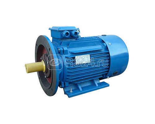Электродвигатель 5АИ 180 S4 22/1500 IM2001 Элком 01.01.213696