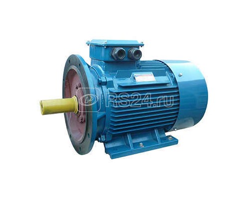 Электродвигатель 5АИ 200 L8 22/750 IM 2001 Элком 01.01.213654