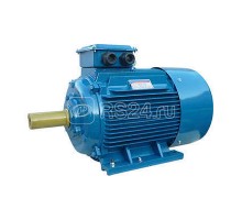 Электродвигатель 5АИ 200 М2 37/3000 IM1001 Элком 01.01.213478