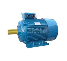 Электродвигатель 5АИ 225 М2 55/3000 IM1001 Элком 01.01.213659