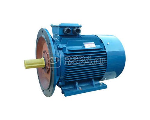 Электродвигатель 5АИ 225 М2 55/3000 IM 2001 Элком 01.01.213660