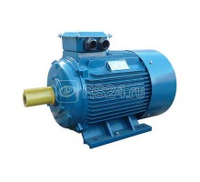 Электродвигатель 5АИ 250 М4 90/1500 IM1001 Элком 01.01.213754
