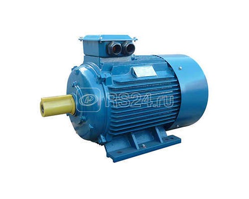 Электродвигатель 5АИ 250 М4 90/1500 IM1001 Элком 01.01.213754