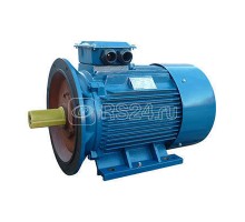 Электродвигатель 5АИ 250 М6 55/1000 IM 2001 Элком 01.01.213759
