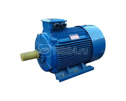 Электродвигатель 5АИ 280 S4 110/1500 IM1001 Элком 01.01.213763