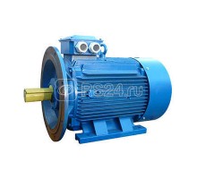 Электродвигатель 5АИ 280 S4 110/1500 IM 2001 Элком 01.01.214242