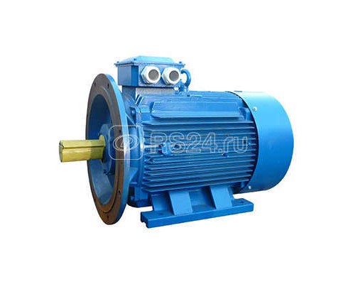 Электродвигатель 5АИ 280 S4 110/1500 IM 2001 Элком 01.01.214242