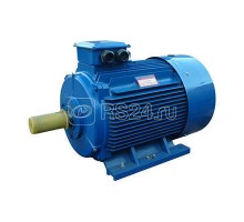 Электродвигатель 5АИ 280 М6 90/1000 IM1001 Элком 01.01.213767