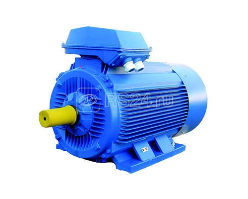 Электродвигатель 5АИ 315 S4 160/1500 IM1001 Элком 01.01.213490