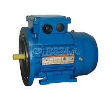 Электродвигатель 5АИ 56 А2 0.18/3000 IM 2081 Элком 01.01.213510