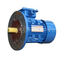 Электродвигатель 5АИ 71 В2 1.1/3000 IM 3081 Элком 01.01.216431