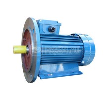 Электродвигатель 5АИ 90 L2 3/3000 IM2081 Элком 01.01.213552