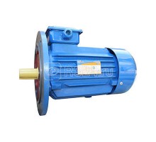 Электродвигатель 5АИ 90 L2 3/3000 IM3081 Элком 01.01.216439