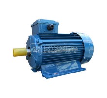 Электродвигатель 5АИ 90 L2 3/3000 IM 1081 Элком 01.01.213461