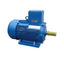 Электродвигатель АИМУ 160 S2 У1 380/660В 1ExdIIBT4 15/3000 IM 1081 Элком 01.02.02.000350