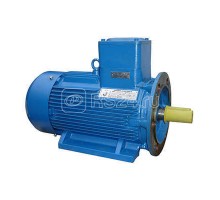Электродвигатель АИМУ 160 S2 У1 380/660В 1ExdIIBT4 15/3000 IM 2001 Элком 01.02.02.000351