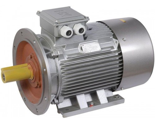 Электродвигатель АИР DRIVE 3ф 200L2 660В 45кВт 3000об/мин 2081 ONI DRV200-L2-045-0-3020