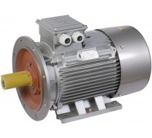 Электродвигатель АИР DRIVE 3ф 200L6 660В 30кВт 1000об/мин 2081 ONI DRV200-L6-030-0-1020