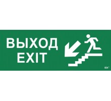 Этикетка самоклеящаяся Выход/лестница вниз/фигура ССА 1005 ИЭК LPC10-1-35-13-VLVNF