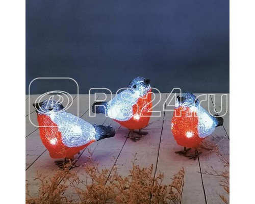 Фигура светодиодная акриловая Семья снегирей 16х9х13см 40LED IP65 понижающий трансформатор в комплекте Neon-Night 513-346