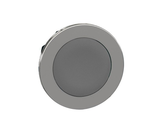 Головка кнопки 22мм сер. с возвратом заподлицо металл SchE ZB4FA8