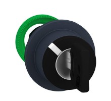 Головка переключателя с ключом утопленный монтаж 2 пол. фикс. SchE ZB5FG2