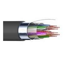 Кабель FTP 10х2х24AWG кат.5 медь наружн. прокл. 305м (м) Rexant 01-1204