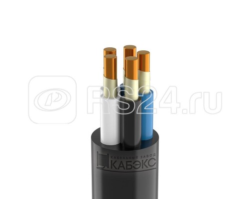 Кабель ВВГнг(А)-FRLS 5х6 (N PE) 0.66кВ (м) Кабэкс ТХМ00373488
