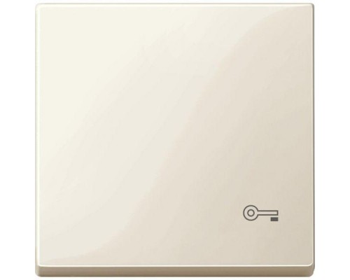 Клавиша Merten с пиктограммой «ключ» алюм. SchE MTN3303-0344