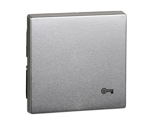 Клавиша Merten с пиктограммой «ключ» алюм. SchE MTN3303-0460