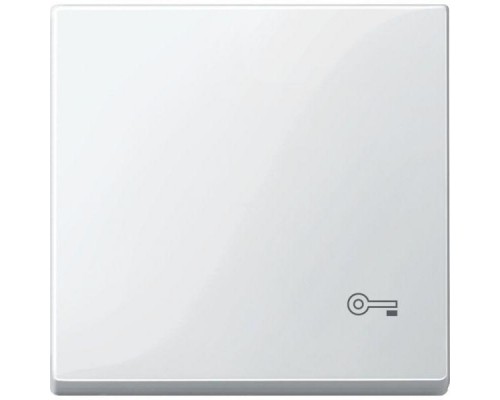 Клавиша Merten с пиктограммой «ключ» бел. SchE MTN3303-0319