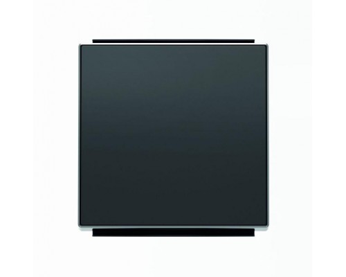 Клавиша для 1-кл. выкл./перекл./кнопок SKY черн. бархат ABB 2CLA850100A1501