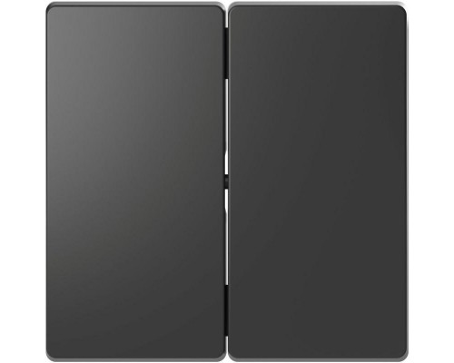 Клавиша для 2-кл. выкл. Merten D-Life SD антрацит SchE MTN3400-6034