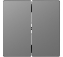 Клавиша для 2-кл. выкл. Merten D-Life SD нерж. сталь SchE MTN3400-6036