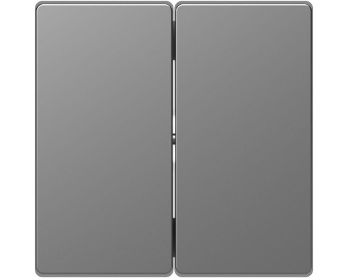 Клавиша для 2-кл. выкл. Merten D-Life SD нерж. сталь SchE MTN3400-6036