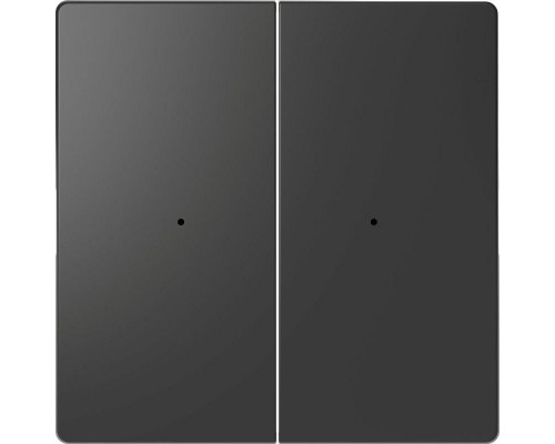 Клавиша двойная Merten D-Life PlusLink без символов SD антрацит SchE MTN5220-6034