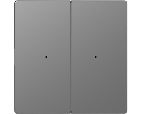 Клавиша двойная Merten D-Life PlusLink без символов SD нерж. сталь SchE MTN5220-6036