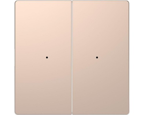 Клавиша двойная Merten D-Life PlusLink без символов SD шампань SchE MTN5220-6051