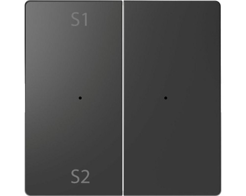 Клавиша двойная Merten D-Life PlusLink с S1/S2 пусто SD антрацит SchE MTN5226-6034