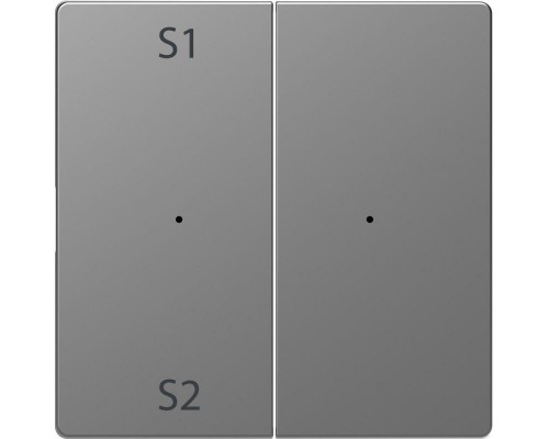Клавиша двойная Merten D-Life PlusLink с S1/S2 пусто SD нерж. сталь SchE MTN5226-6036