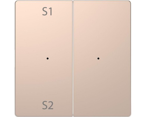 Клавиша двойная Merten D-Life PlusLink с S1/S2 пусто SD шампань SchE MTN5226-6051
