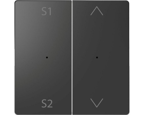Клавиша двойная Merten D-Life PlusLink с S1/S2 вверх/вниз SD антрацит SchE MTN5227-6034