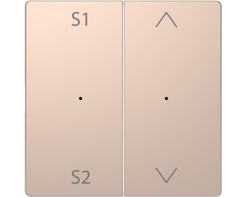 Клавиша двойная Merten D-Life PlusLink с S1/S2 вверх/вниз SD шампань SchE MTN5227-6051
