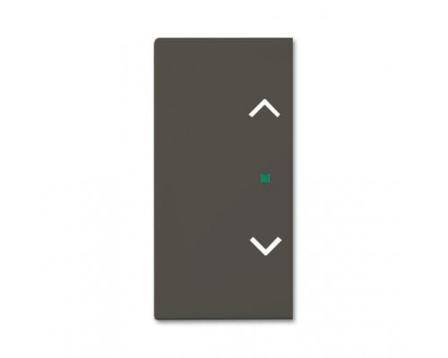 Клавиша двойная SRB-2-95 free@home жалюзи Basic 55 chateau-черн. ABB 2CKA006220A0693