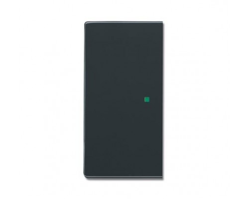 Клавиша двойная SR-2-81 free@home future антрацит ABB 2CKA006220A0152